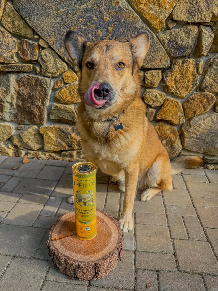 Může pes olivový olej? Ano, ale s rozumem