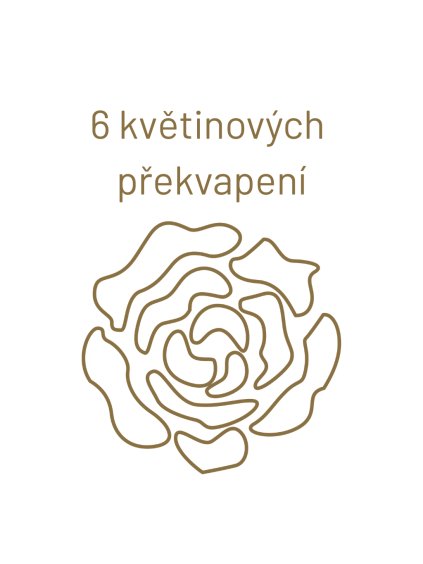 3 květinová překvapení (6)