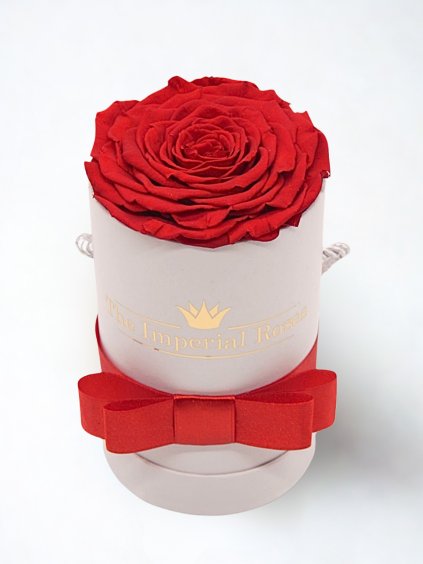 Single Box