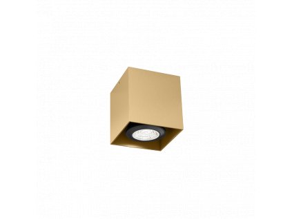 BOX MINI 1.0 PAR16 CHAMPAGNE SURFACE LIGHT