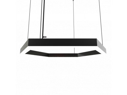 arli hexagon.jpg black