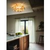 Slamp Clizia MnM Gold Ceiling Wall Large kitchen Ph.ThomasPagani