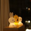 5738 6 bundle miffy and friends
