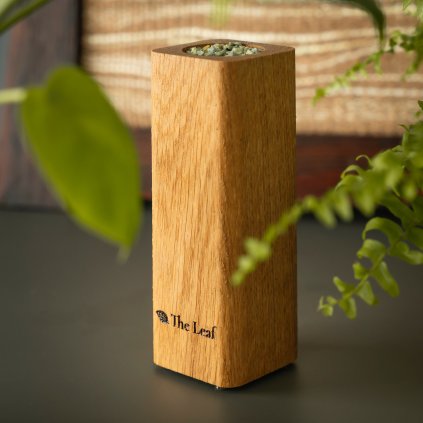 Radek Vanat focen%C3%AD The Leaf 01875 2