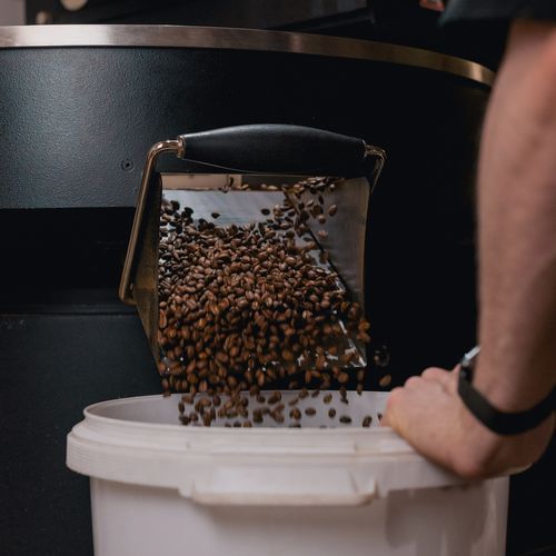 Green beans in a coffee roaster