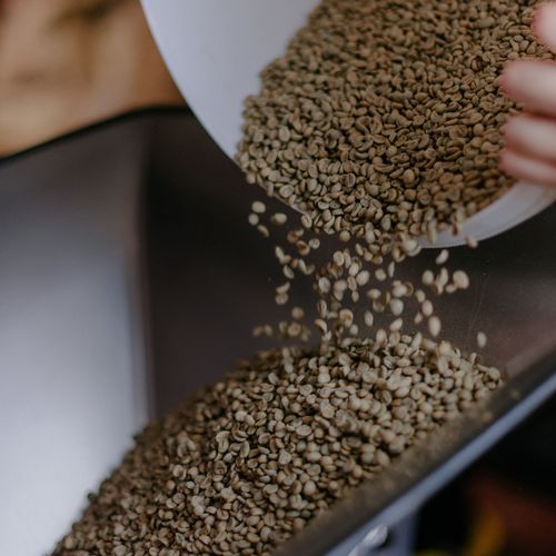 Roasted coffee beans Roasted coffee beans