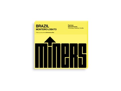 brazil monte