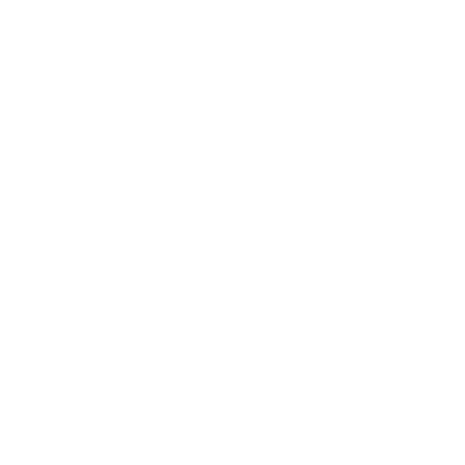 The Original Hummus Bar TM