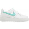 Nike Air Force 1 White Emerald Rise GS