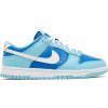 NIKE DUNK LOW ARGON