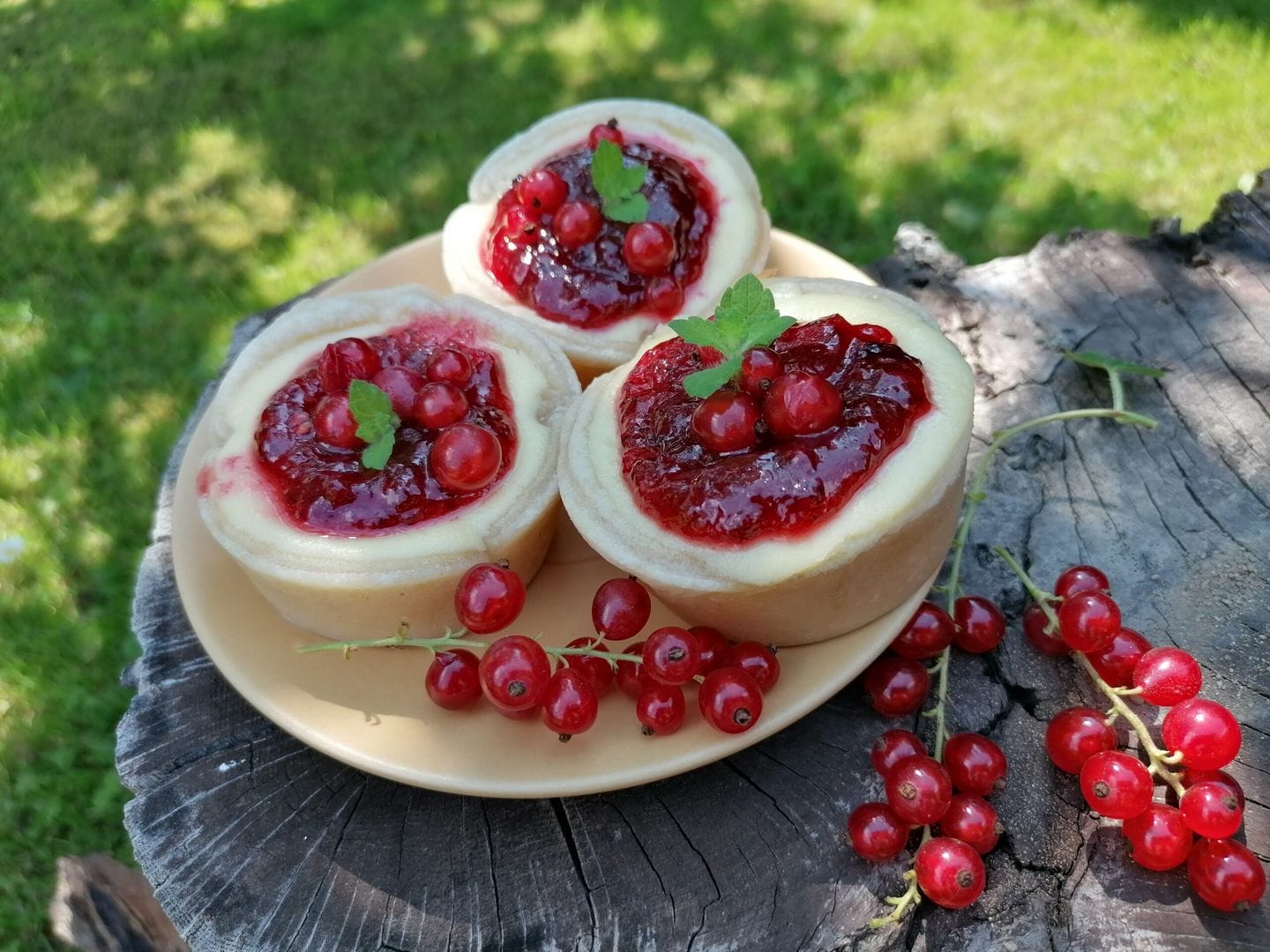 Cheesecake košíčky s rybízovým rozvarem