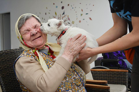 Canisterapia Zmysel života n.o.