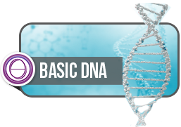 Basic DNA - základní kurz