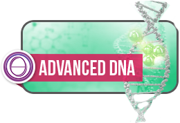 Pokročilý kurz DNA