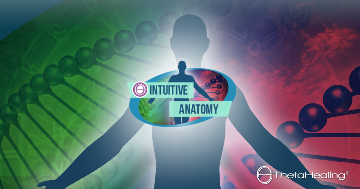 Intuitivní anatomie