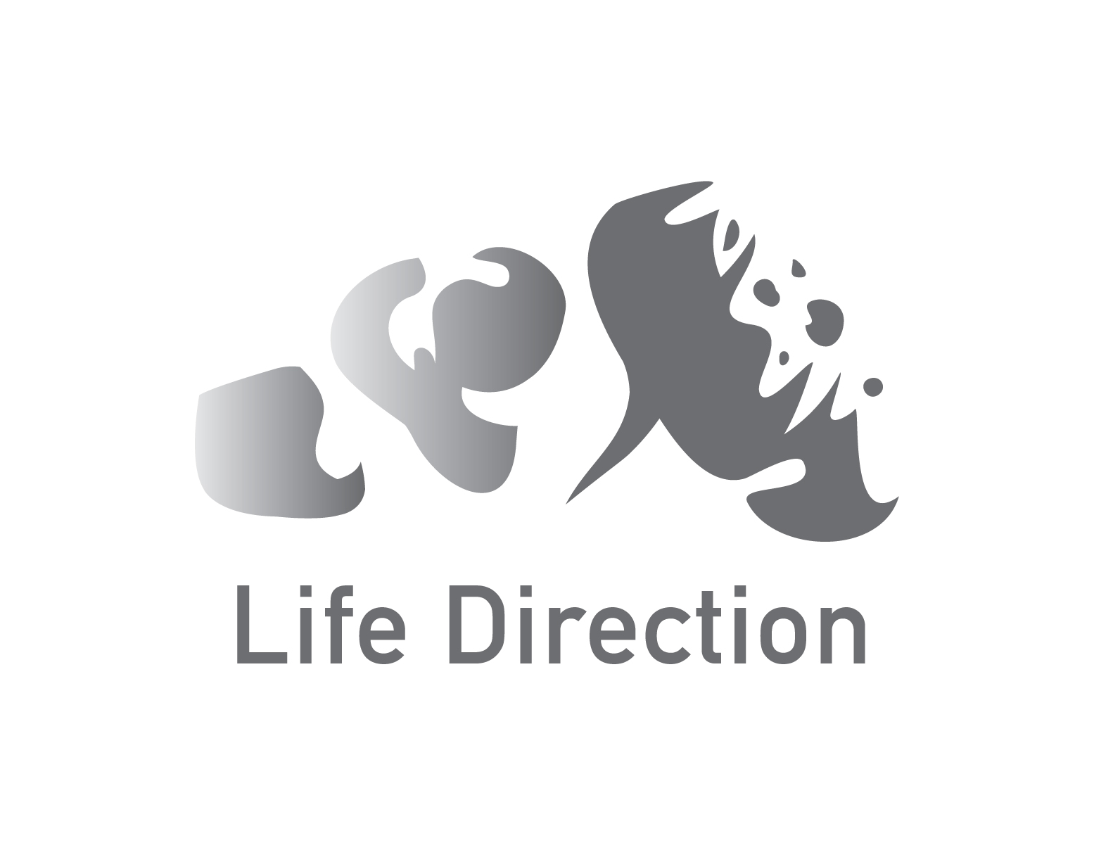 Life Direction