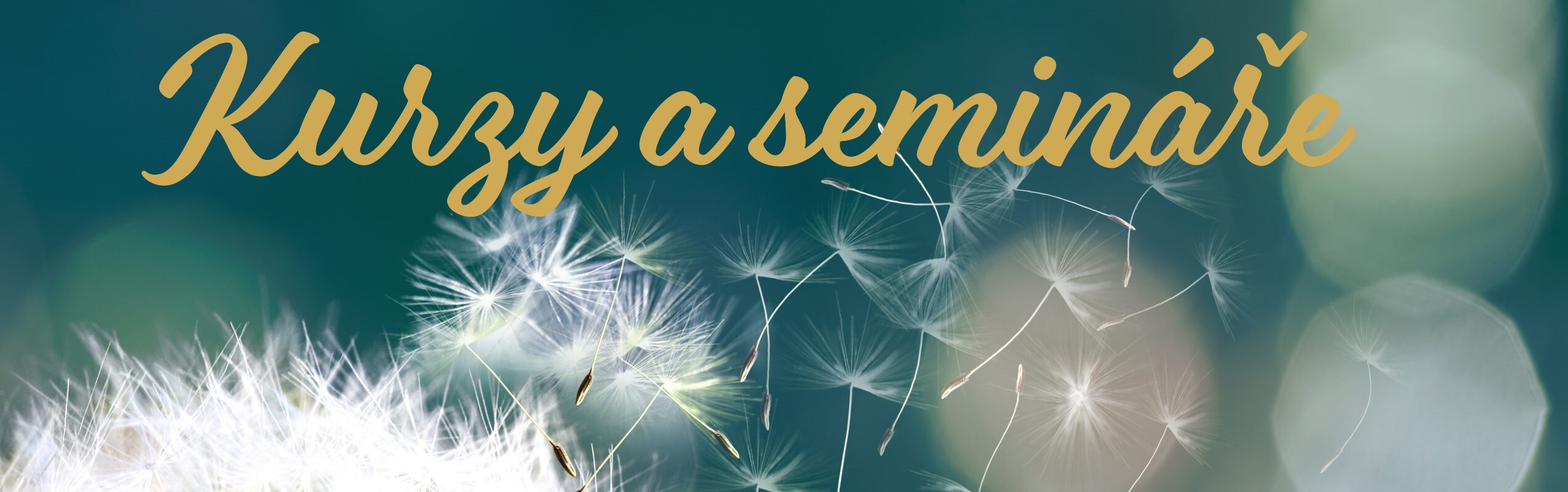 Kurzy a semináře