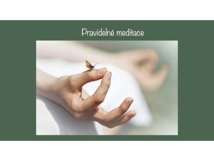 Pravidelné meditace s australskými květy, barvami a anděly
