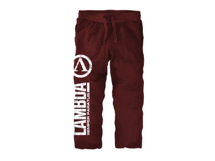 110020003 bordeaux vorne