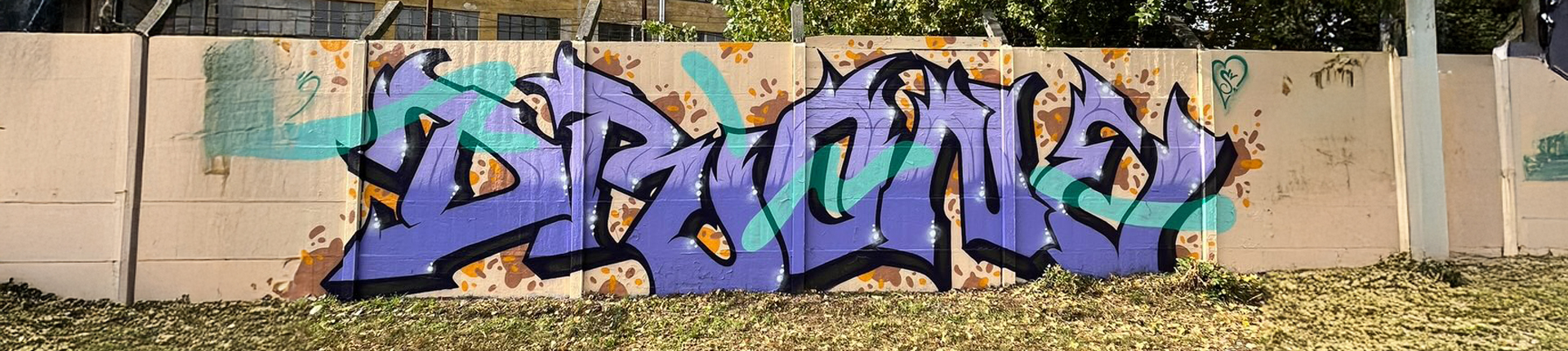 Obrazy umělce a writera - DRON