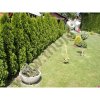 Thuja occidentalis Smaragd 200 - 220 cm