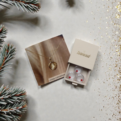 Fingerprint sada - otisk prstu