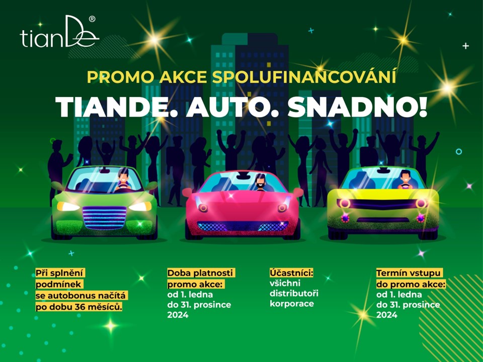 Auto snadno 2024