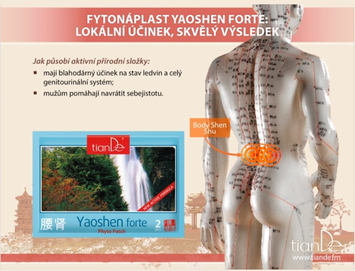 Kosmetická tělová fytonáplast Yaoshen Forte (webinář)