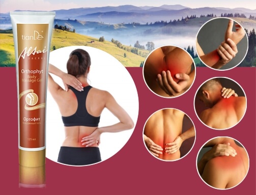 Orthophyt (Prezentace)