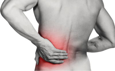 15. listopadu - 14. února: Posílení energie ledvin - aneb řešení únavy, padání vlasů, neplodnosti a dalších problémů