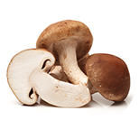 shiitake-houzevnatec-jedly