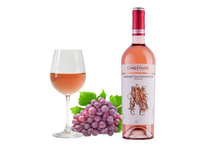 Dizajn bez názvu (1)