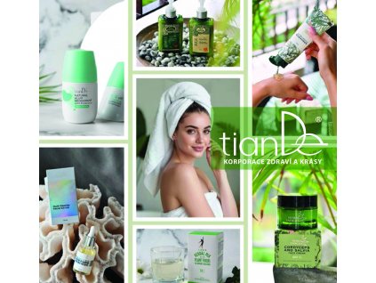 tianDe Katalog CZ 2026