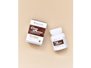 Chaga a mumio0