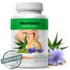 MycoMedica MycoGastro sypká zmes pre prípravu nápoja 90g