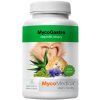 MycoMedica MycoGastro sypká zmes pre prípravu nápoja 90g