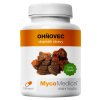 MycoMedica Ohňovec 120 kapsúl
