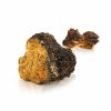 MycoMedica Chaga 50 % 90 kapsúl