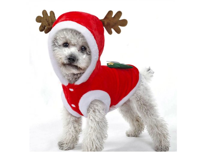 Vianočné červený obleček sob pre malé psy a mačky- Pre domácich miláčikov (Velikost L)