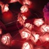 Dekorativní LED růžičky - různé barvy - SLEVA 60% (Barva Červenobílá)