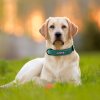 Psie obojok s menom - Obojky pre malé, stredné a veľké psy vrátane vyrytie mena a tel.čísla (Farba Fialová, Velikost S)