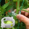 Svorky na rastliny - záhrada - pestovanie paradajok - svorka na upevnenie rastlín 50ks