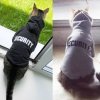 Oblečenie pre mačky - mačka - mikiny - mačacie mikina s nápisom security