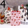 Vianoce - set vianočných taštičiek na darčeky - vianočné obrázky - vianočné darčeky - výpredaj skladu