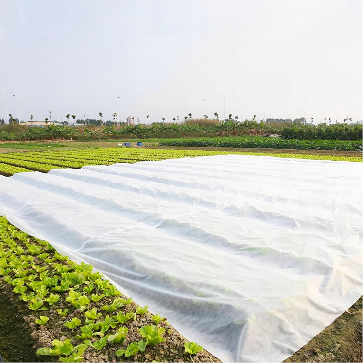 HRUBÁ AGROTEXTILIE BÍLÁ POKRÝVACÍ AGROTEXTILIE ZIMNÍ 3,2x20m 50g PREMIUM Gramáž 50 g/m²