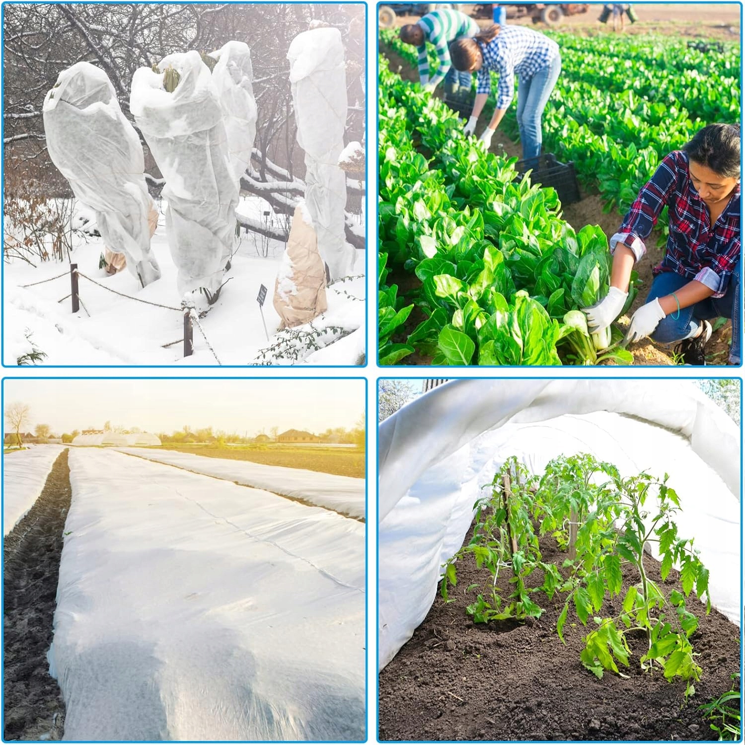 HRUBÁ AGROTEXTILIE BÍLÁ POKRÝVACÍ AGROTEXTILIE ZIMNÍ 3,2x20m 50g PREMIUM Kód výrobce SDH662