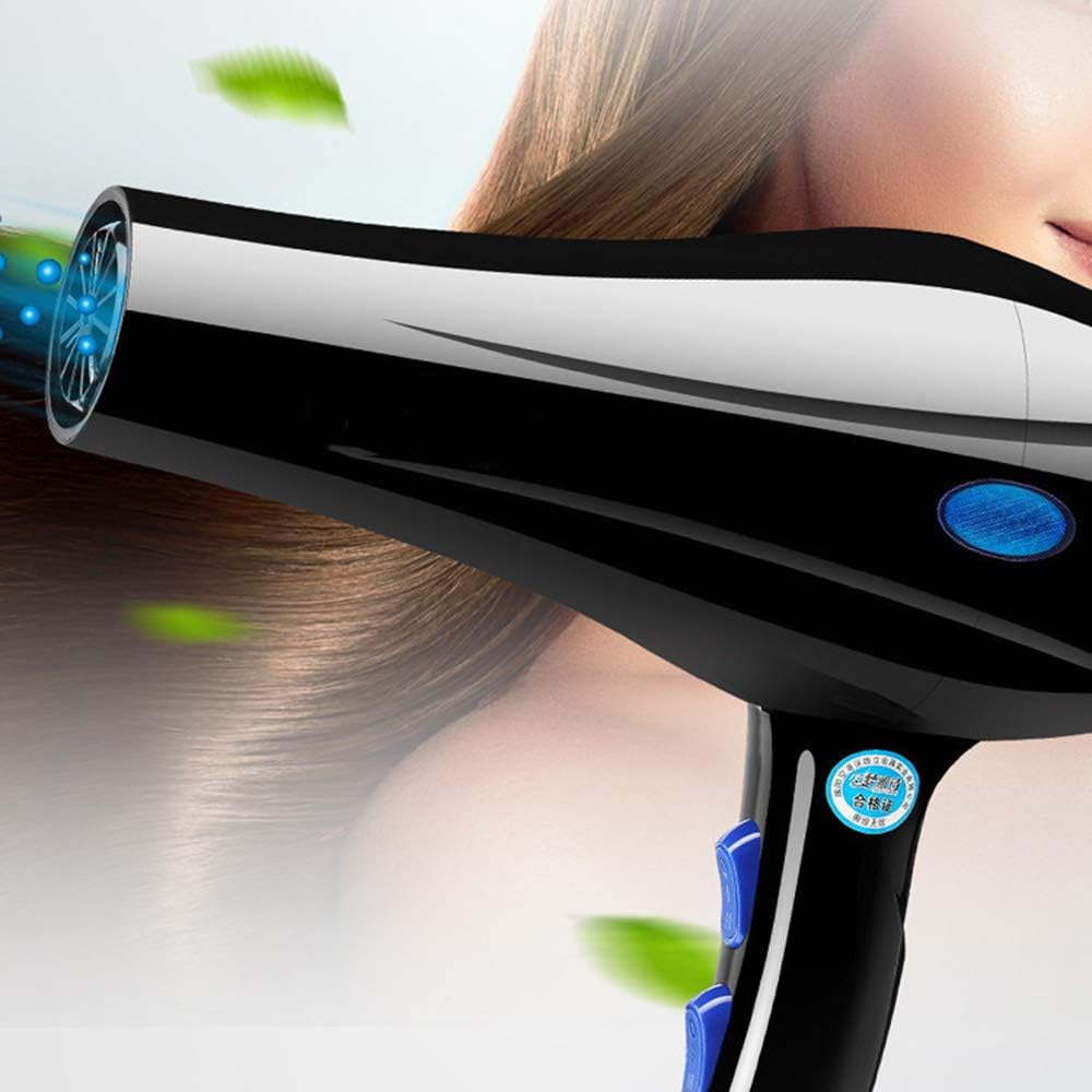 SUŠIČ VLASŮ IONIZACE DIFUZÉR STUDENÝ VZDUCH KONCENTRÁTOR VÝKONNÝ 2200 W Model SDH1754