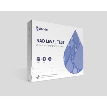 WhatsApp Image 2024 06 10 at 17.11.10