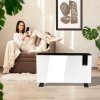 ThermoControl 2400W – konvektorový radiátor s termostatem, dálkovým ovládáním a funkcí otevřeného okna, možnost montáže na stěnu