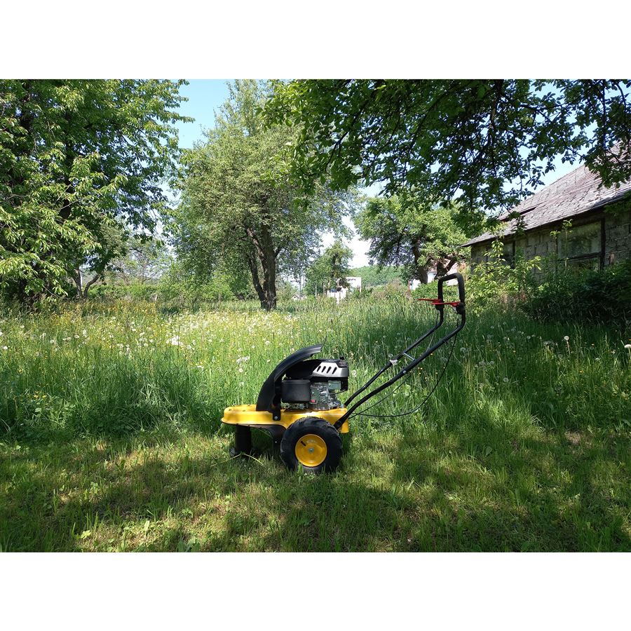 Benzínový vyžínač TEXAS Pro Trim 600 TR